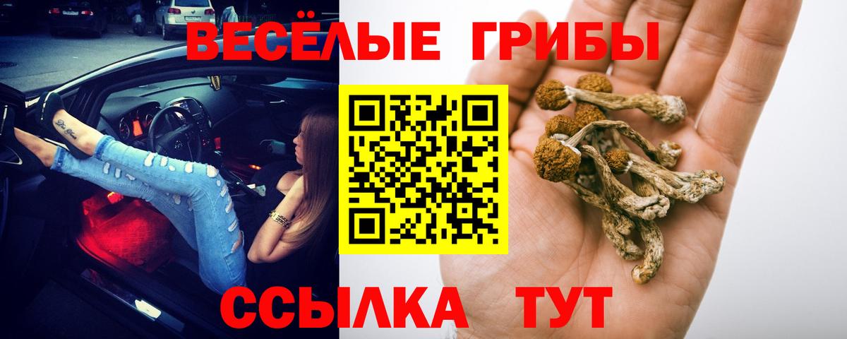 Галлюциногенные грибы ЛСД Подольск